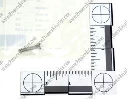 S3455C11