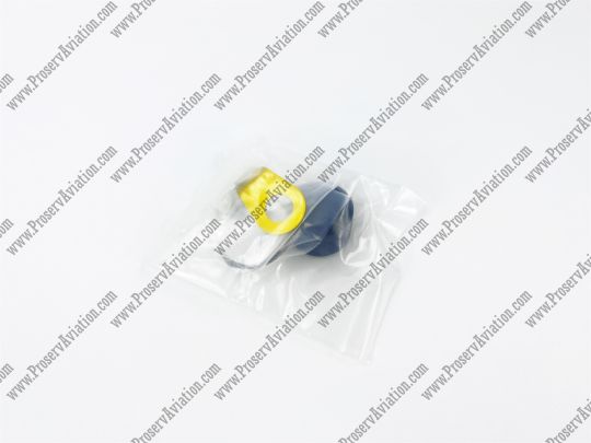 Dust Plug